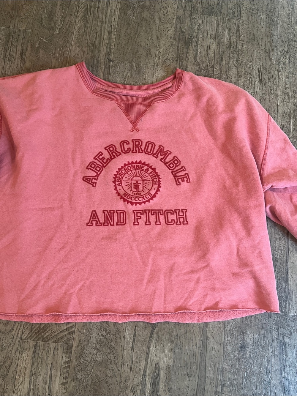Abercrombie & Fitch Pink Crewneck Sweatshirt
